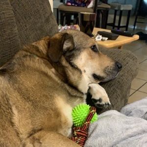 Meet your Posher, Christopher